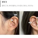 어등산약국 | 블로그 쓰는거 재밌는데 아이패드가 말을안듣는다면 어떻게 하시겠어요?