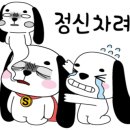큐스시