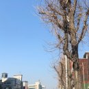 부일영양탕 이미지