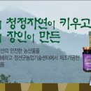 정담은몰