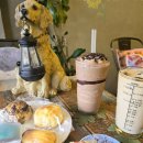 주니앤제이 이미지