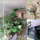 명품플라워 이미지