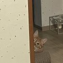 벌말로129번길 이미지