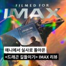 6월 개봉 영화 &lt;드래곤 길들이기&gt; 리뷰 :: 왕십리 아이맥스/1주차 특전