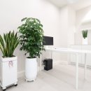 김소희유외과의원 이미지