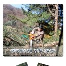 양평임업 네이버블로그