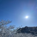 신야춘추 | 카 할인받고 눈꽃 산행 ::: 당일치기 코스로 공주 맛집 신야춘추 사찰음식, 대전 성심당까지 털고 온 후기