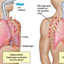 하루, 50분 이미지
