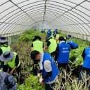 한진농장 이미지