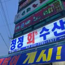 [서산] 횟집은 무조건 여기! “청정회수산” 후기