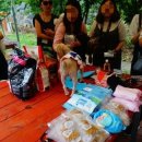 달려라 해피 이미지