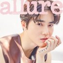 수호 티브이데일리