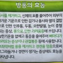 금오도 방풍마을영농조합법인 | [금오도 비렁길⑦] 금오도 특산물 방풍, 방풍의 효능/여수여행