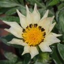 새한농원 이미지