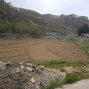 가자청주공인중개사사무소 이미지