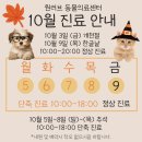 원러브동물의료센터 이미지