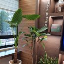 365잘봄한의원 이미지