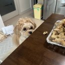 연산반점 이미지