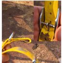 나드리독 이미지