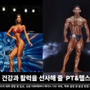 스테디안 네이버블로그
