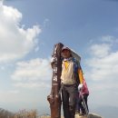 논실 이미지