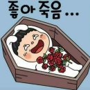 술이조아 이미지