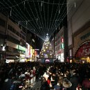 성탄의 불빛, 대구경북 등 전국 곳곳 밝혀 이미지