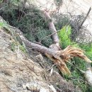 바이크탐방로 이미지