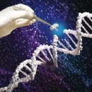 한국헬스 이미지