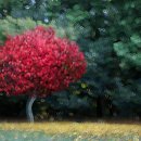 꿈꾸는 숲 이미지