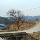 방곡2리 이미지