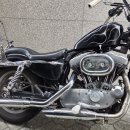 2004년식 스포스터 883 캬브 챠퍼 판매합니다. 이미지