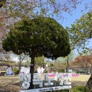 종로구립 고희동 미술자료관 이미지