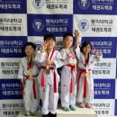 단비태권도장 이미지