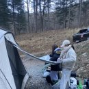 양평숲 비룡캠프장 이미지