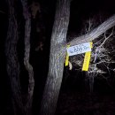 수산리-1 이미지