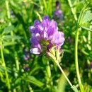 능허대중학교 이미지