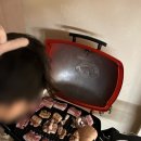 스테이화가 이미지