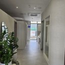 담에스테틱 이미지