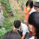 묘산초등학교 이미지