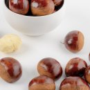 아람2농장 이미지