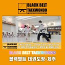T&T 태권도장 이미지