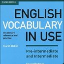영어Vocabulary교재 - 중급1 - Pre Intermediate and Intermediate In Use(4판) 이미지