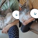 에이플러스세탁 | 중랑구산후도우미/동대문구산후도우미 다산케어센터 산후도우미 후기입니다(박*주 관리사님)