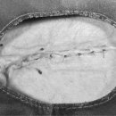 24시 양주 힐 동물의료센터 이미지