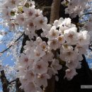 반도산전(주) 이미지