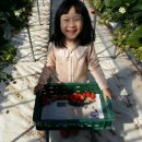 채은농장 이미지