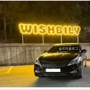 위시빌리 이미지