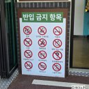 팜랜드 | 안성 팜랜드 방문 후기/동물체험, 수유실이용