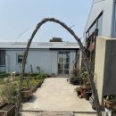 엠제이(MJ)펜션 이미지